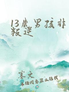 13岁男孩非常叛逆