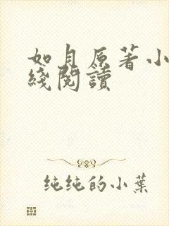 如月原著小说在线阅读