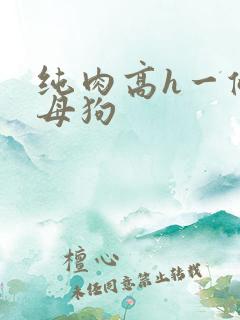 纯肉高h一条骚母狗