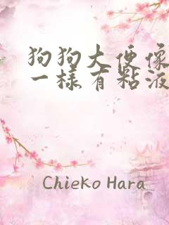 狗狗大便像果冻一样有粘液且带血