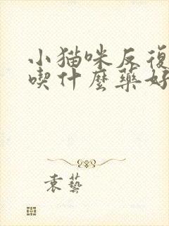 小猫咪反复尿闭吃什么药好