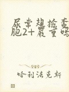 尿常规检查白细胞2+严重吗