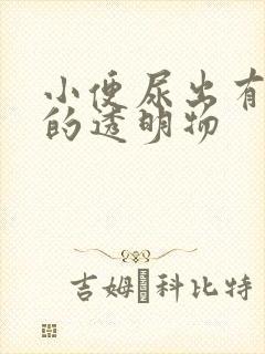 小便尿出有白色的透明物