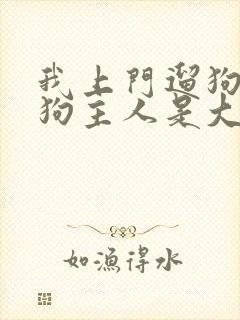 我上门遛狗发现狗主人是大帅比