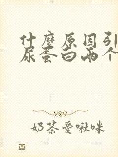 什么原因引起的尿蛋白两个加号