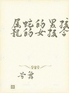 属蛇的男孩和属龙的女孩合不合婚