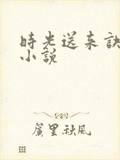 时光送来诀别书小说