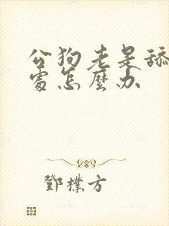 公狗老是舔排尿处怎么办