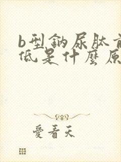 b型钠尿肽前体低是什么原因