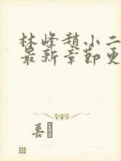 林峰赵小二小说最新章节更新内容分