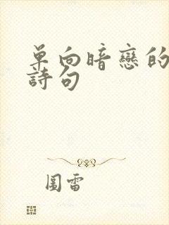 单向暗恋的遗憾诗句