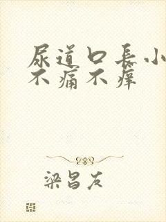 尿道口长小肉粒不痛不痒