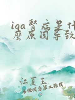 iga肾病是什么原因导致的