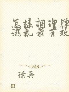 怎样调理脾胃去湿气最有效