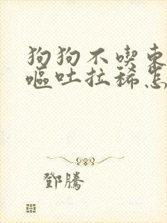 狗狗不吃东西还呕吐拉稀怎么办