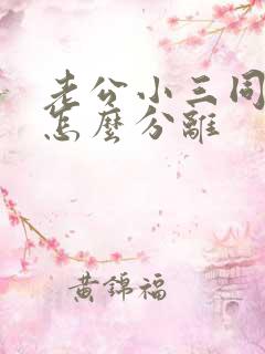 老公小三同居了怎么分离