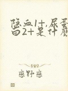 隐血1+,尿蛋白2+是什么意思