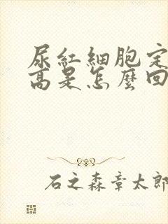 尿红细胞定性偏高是怎么回事