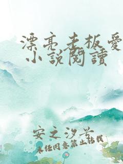 漂亮老板爱上我 小说阅读