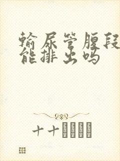 输尿管腹段结石能排出吗