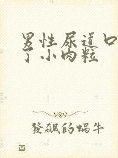 男性尿道口长满了小肉粒