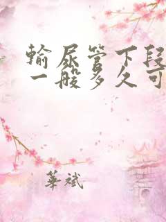 输尿管下段结石一般多久可以排出