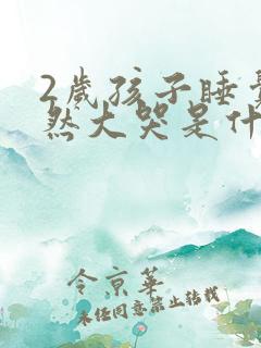 2岁孩子睡觉突然大哭是什么原因