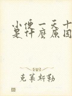 小便一天十几次是什么原因