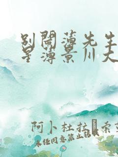 别闹薄先生沈繁星薄景川大全