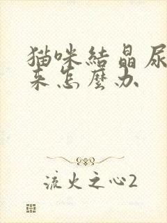 猫咪结晶尿不出来怎么办