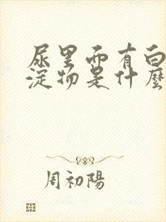 尿里面有白色沉淀物是什么原因