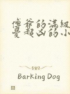 傅爷的满级小可爱超凶的小说免费阅读
