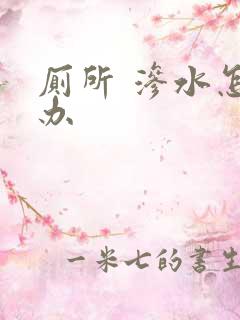 厕所 渗水怎么办