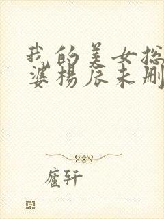 我的美女总裁老婆杨辰未删减版