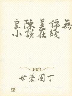 良陈美锦无删减小说在线