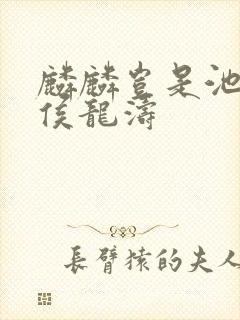 麟麟岂是池中物侯龙涛