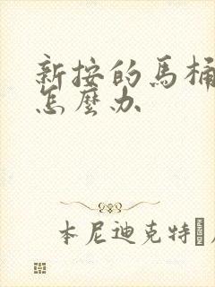 新按的马桶反臭怎么办