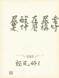 尿酸在尿常规里是什么称呼