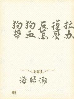 狗狗反复拉肚子带血怎么办