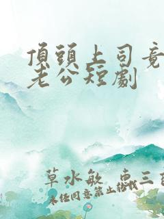 顶头上司竟是我老公短剧