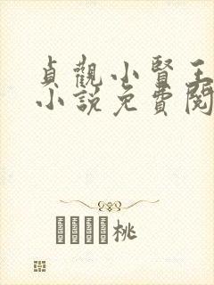 贞观小贤王李慎小说免费阅读