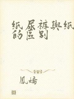 纸尿裤与纸尿片的区别