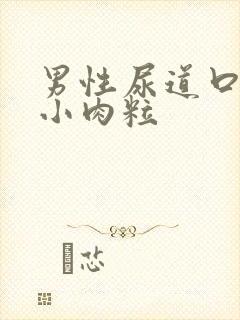 男性尿道口长有小肉粒