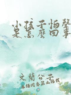 小孩子怕声音大是怎么回事