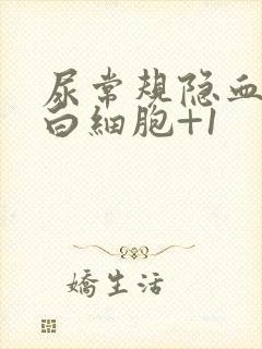 尿常规隐血+1白细胞+1