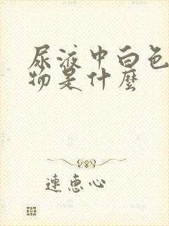 尿液中白色沉淀物是什么