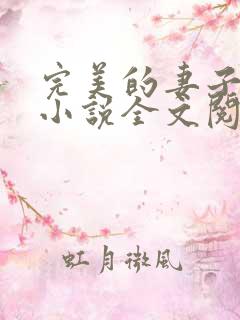 完美的妻子赵岚小说全文阅读