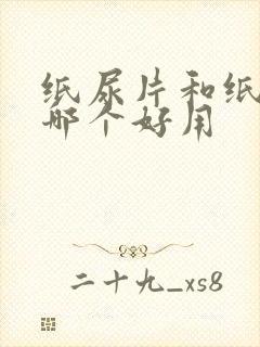 纸尿片和纸尿裤哪个好用