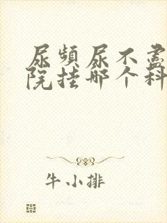 尿频尿不尽去医院挂哪个科