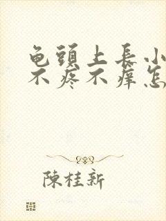 龟头上长小红点不疼不痒怎么回事